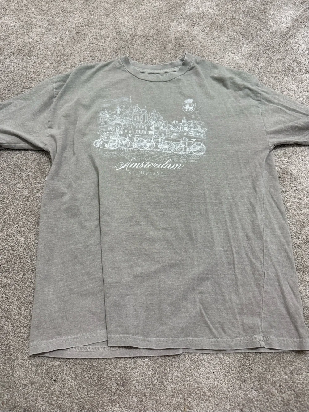 Amsterdam Graphic Crew Tee in Light Gray